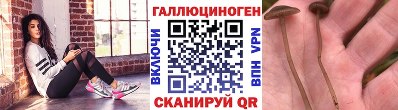 Галлюциногенные грибы Magic Shrooms Находка